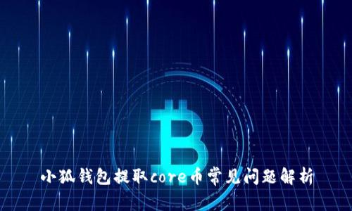 小狐钱包提取core币常见问题解析
