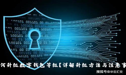 如何升级数字钱包等级？详解升级方法与注意事项