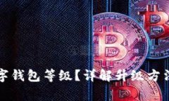 如何升级数字钱包等级？
