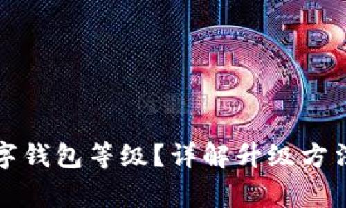 如何升级数字钱包等级？详解升级方法与注意事项