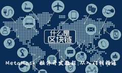 MetaMask 插件开发教程：从