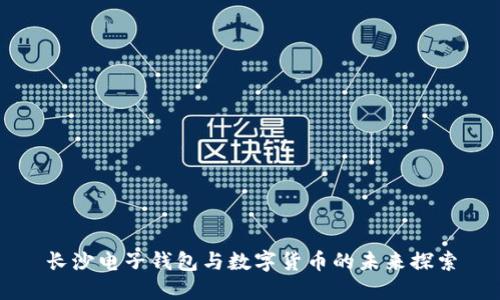 长沙电子钱包与数字货币的未来探索