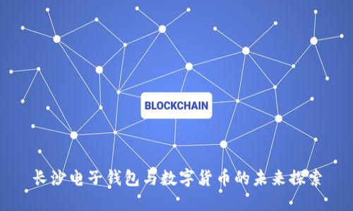长沙电子钱包与数字货币的未来探索