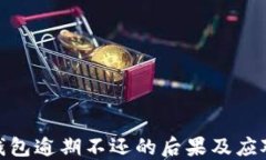 数字钱包逾期不还的后果