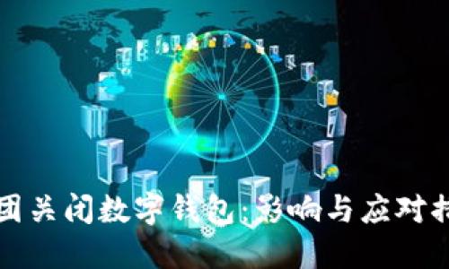 美团关闭数字钱包：影响与应对措施