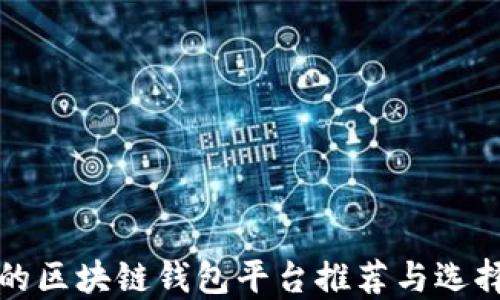 
好用的区块链钱包平台推荐与选择指南