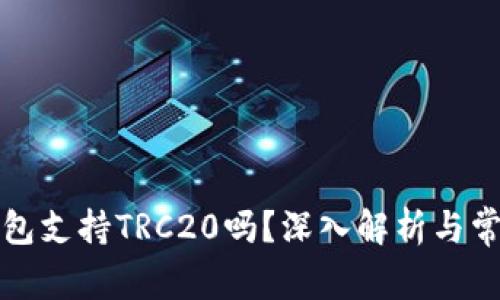 小狐钱包支持TRC20吗？深入解析与常见问题