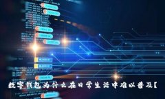 数字钱包为什么在日常生