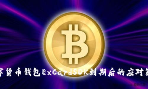 数字货币钱包ExCardSDK到期后的应对策略