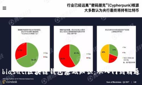 biasuti区块链钱包基础知识：从入门到精通