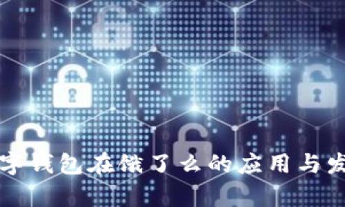 上海数字钱包在饿了么的应用与发展分析