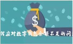 如何应对数字钱包余额不