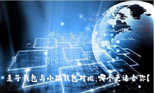 麦子钱包与小狐钱包对比：哪个更适合你？