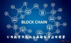 公用数字钱包的全面解析