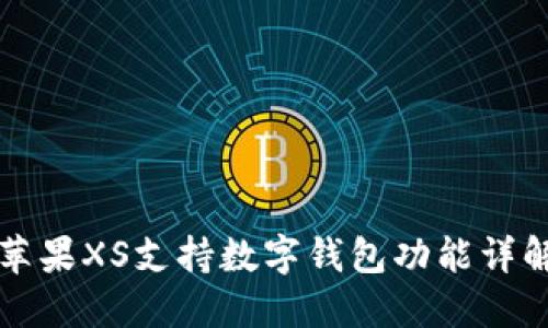 苹果XS支持数字钱包功能详解
