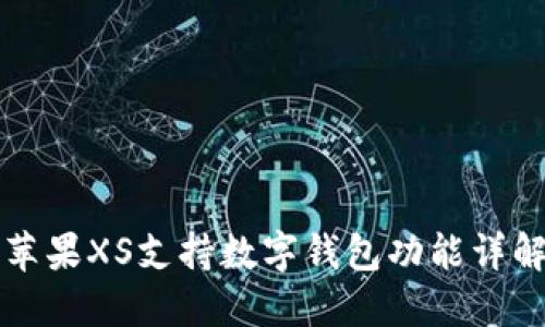 苹果XS支持数字钱包功能详解