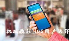 MetaMask手机版教程：iOS用户的详细使用指南