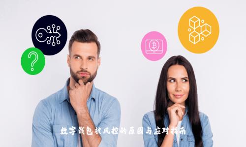 数字钱包被风控的原因与应对指南