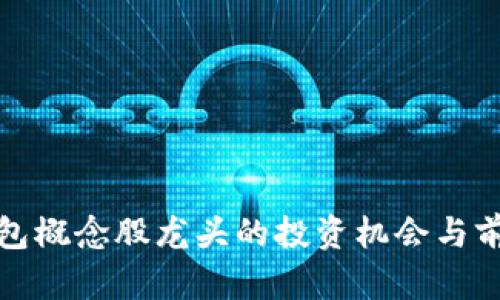 数字钱包概念股龙头的投资机会与前景分析