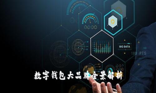 数字钱包大品牌全景解析