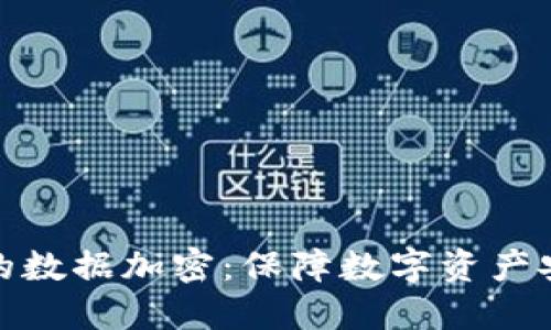 电子钱包的数据加密：保障数字资产安全的关键