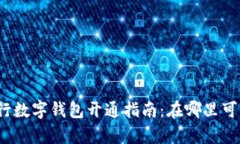 农业银行数字钱包开通指