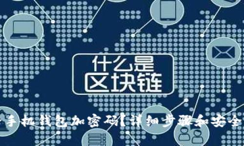 如何给手机钱包加密码？详细步骤和安全性分析