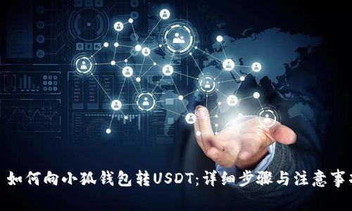 : 如何向小狐钱包转USDT：详细步骤与注意事项