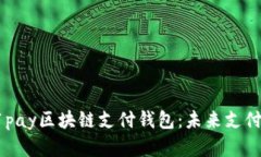 全面解析21pay区块链支付钱