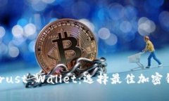 MetaMask与Trust Wallet：选择最