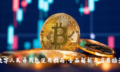 数字人民币钱包使用指南：全面解析与应用场景