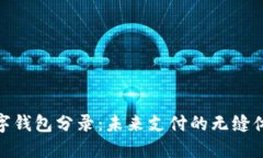 数字钱包分录：未来支付