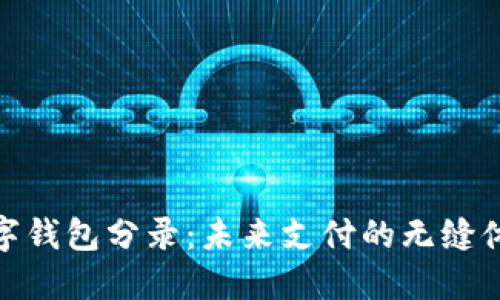 数字钱包分录：未来支付的无缝体验