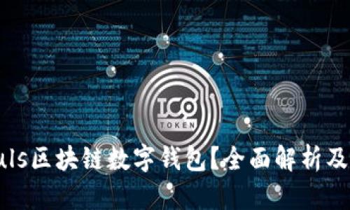 什么是Puls区块链数字钱包？全面解析及应用前景