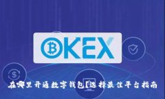 在哪里开通数字钱包？选