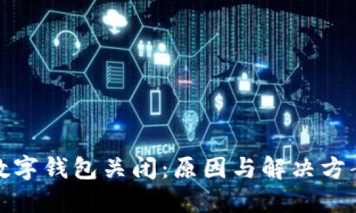 农行数字钱包关闭：原因与解决方案详解