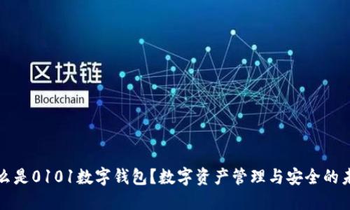 什么是0101数字钱包？数字资产管理与安全的未来