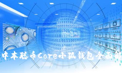 : 中本聪币Core小狐钱包全面解析