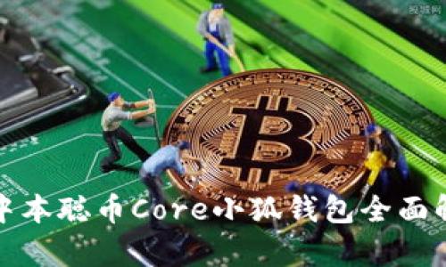 : 中本聪币Core小狐钱包全面解析