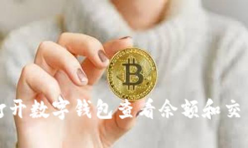 如何打开数字钱包查看余额和交易记录