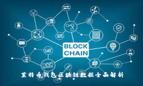 莱特币钱包区块链数据全面解析