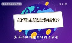 真正小狐钱包高清图片大
