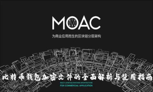 比特币钱包加密文件的全面解析与使用指南