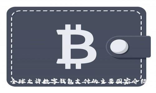 全球允许数字钱包支付的主要国家介绍