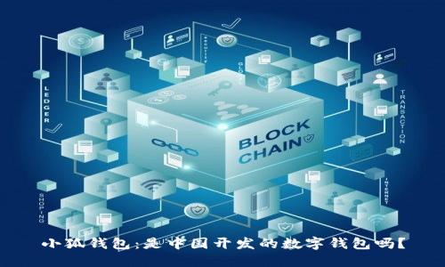 小狐钱包：是中国开发的数字钱包吗？