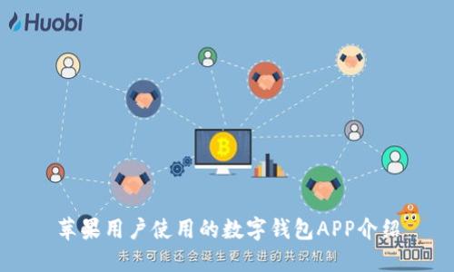 苹果用户使用的数字钱包APP介绍