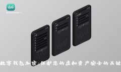 数字钱包加密：保护您的