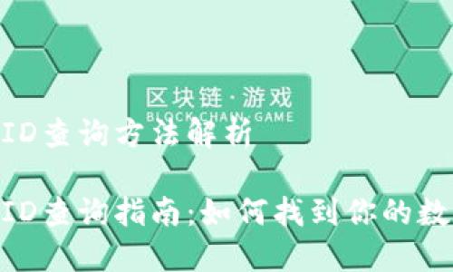 数字钱包ID查询方法解析

数字钱包ID查询指南：如何找到你的数字钱包ID
