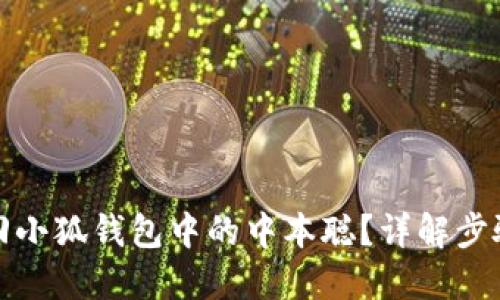 如何找回小狐钱包中的中本聪？详解步骤与技巧
