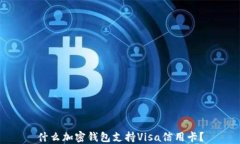 什么加密钱包支持Visa信用
